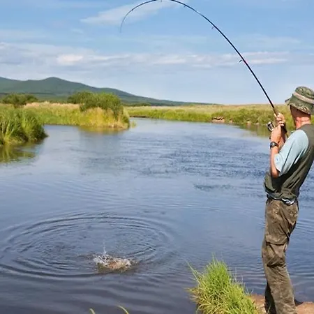 Large With Sauna, Jacuzzi And Pool