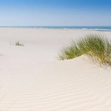 Large With Sauna, Jacuzzi And Pool *