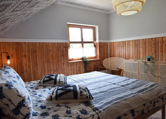 Large With Sauna, Jacuzzi And Pool