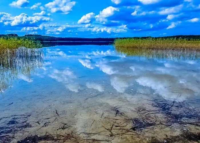 Large With Sauna, Jacuzzi And Pool *