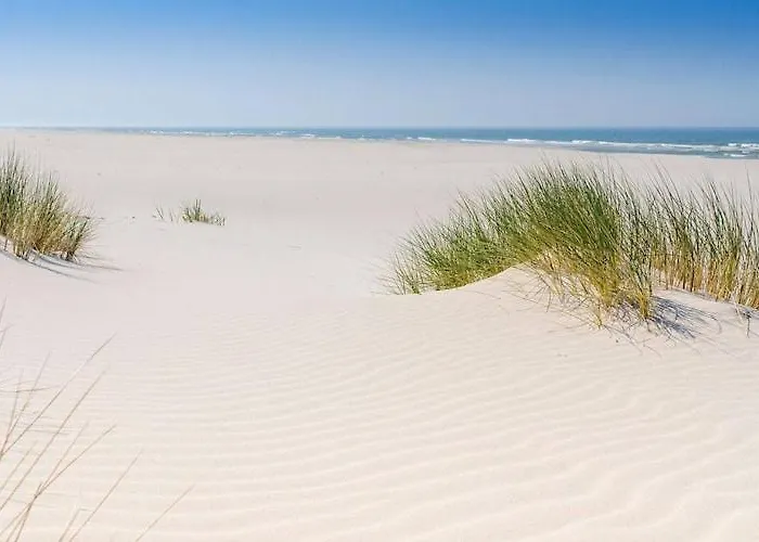 Large With Sauna, Jacuzzi And Pool *